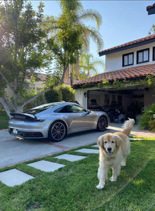 Predator_ My Photos photo 13190691