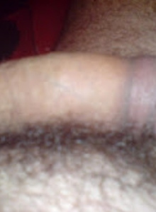 decko42 decko42 photo 1112047