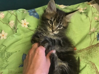 я и мои друзья..)