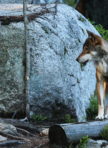 Zering322 My Photos photo 12507305