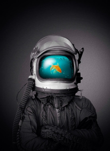 Arni0007 My Photos photo 1484400