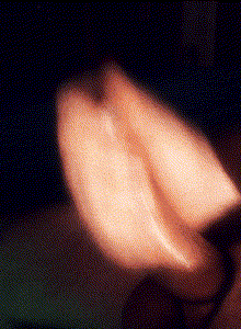 PM_To_Insult_My_Cock_C2C My Photos photo 11117616