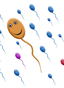 BigMrX My Photos photo 2068961