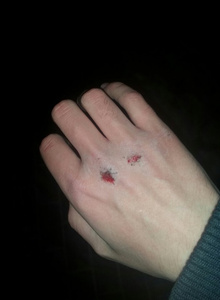 -Plohish- Герл арт photo 1105769