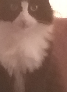 paha2121 My Photos photo 9309950