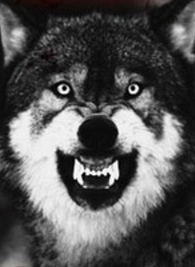 gard777 My Photos photo 827630