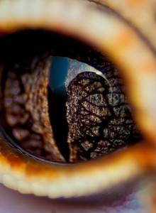 Katawina My Photos photo 1021629