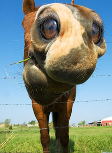 tatar35 My Photos photo 2702101