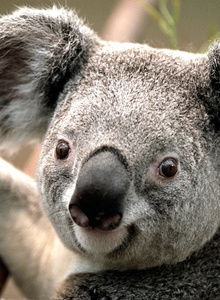 Donna86 My Photos photo 2678588