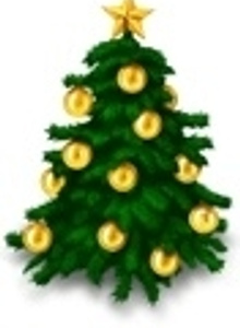 Pantifik My Photos photo 1951479