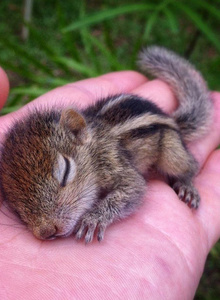 Byryndy4ekkk My Photos photo 9609125