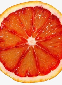 AlexNone My Photos photo 3570989