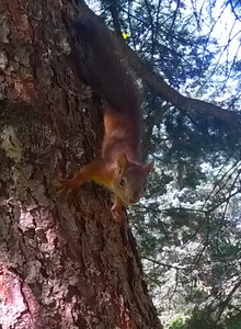 xaima058 My Photos photo 2438102