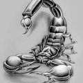 Scorpion009