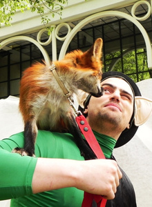 Mstislav182 My Photos photo 2799625