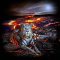 Fire-Tiger-Group