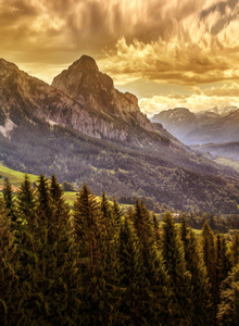 camsuser102 My Photos photo 4454513