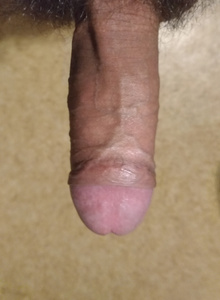 scarabey12 My Photos photo 3731664