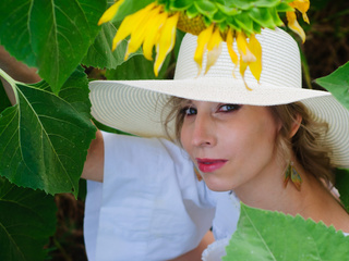 My sunflower summer 2024