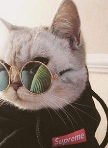 Sir_EbaTemaLL My Photos photo 4767266