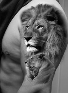 King_Leon My Photos photo 5234135