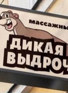 Sempler163 My Photos photo 8526274