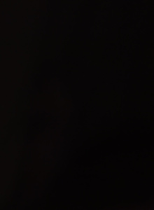 Tsart1234 My Photos photo 10122563