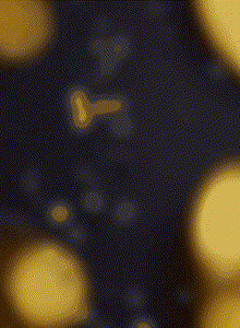 MiniEvgenn My Photos photo 8657406