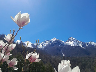 ˚˖𓍢ִ໋🍃˚.⛰️⋆☁️