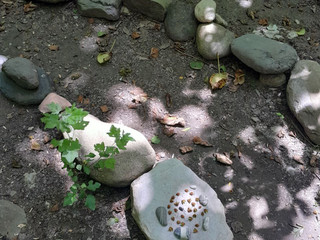 ｡𖦹°‧ ｡𖦹°‧