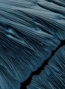 Titon1488 My Photos photo 10108859