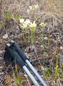 Jodisboy My Photos photo 13120719