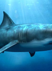 A-Davay My Photos photo 5946997