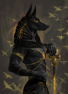 01Jackal07 My Photos photo 7068041