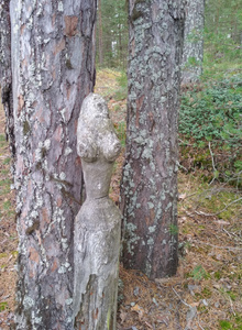 Best_Suchka Немного о себе photo 6046836