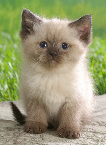 BELAG My Photos photo 6187383