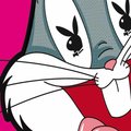 __BUGSBUNNY__