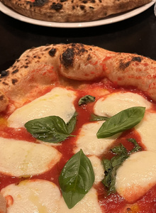 Primusa My Photos photo 8962887