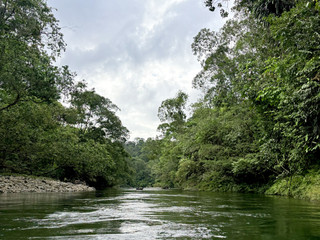 Natural adventure 😎