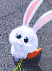 ZayaBuka My Photos photo 12615661