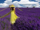 Rachel-Prince