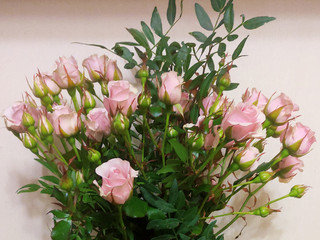 Thank you, Droven😘