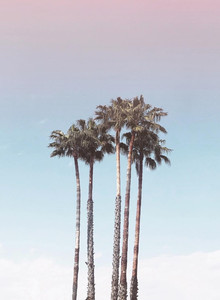 BOOMBINO228 My Photos photo 12844961