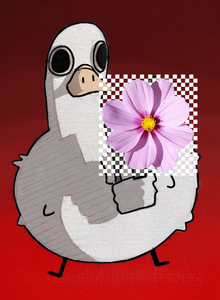 mynameforyou My Photos photo 10254090