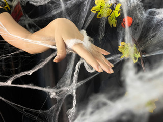 🎃Happy Halloween🎃