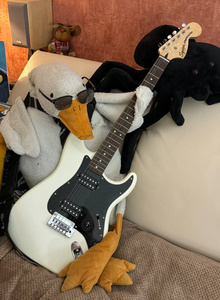 MeltedDreams My Photos photo 11266457