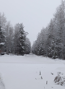 filin1988a 2 photo 10147770