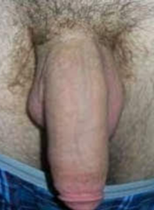 FootLong42069 My Photos photo 9927024