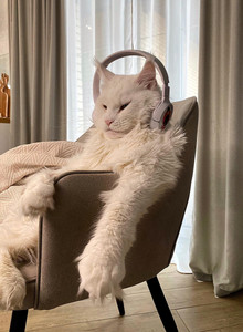 Shy_Buzz3rds My Photos photo 13495973