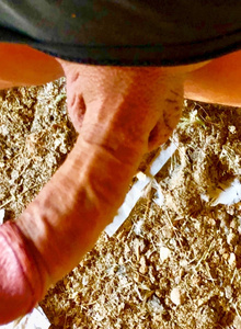 Jorgeplaka My Photos photo 10347978